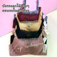 ราคา เสื้อใน ไซร้ใหญ่ sister hood 1029 มีโครง ลูกไม้บังทรง สวยครบจบในตัวเดียว ลดราคาร้อนแรงประจำเดือนนี้ ดัน ทรง บรา ใส่ สบาย (1732302647744890025)