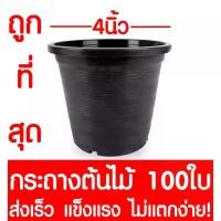 ราคา กระถางต้นไม้ กระถางพลาสติก ขนาด 4 นิ้ว 100ใบ กระถางกลม กระถางต้นไม้พลาสติก กระถางปลูกต้นไม้ กระถางดำ กระถางพลาสติกดำ Flower pot (1732636910522893610)