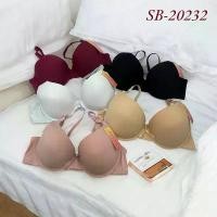 ราคา ชุดชั้นใน เสื้อใน Sunnybra SB-20232 ทรงเต้าใหญ่ คัพB เสริมฟองน้ำ1ซม ขายร้อน (1732290960759228506)