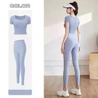 ราคา 【ส่งฟรี】 mvp sport แขนสั้น+กางเกงขายาว สูท 2 ชิ้น ชุดฝึก ชุดกีฬา ชุดโยคะ (1732610296816961052)