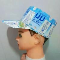 ราคา หมวกแก๊ป ทำจากกล่องนม แบบไม่เจาะ ติดประกอบกันด้วยเทปใส (1732064296955315221)