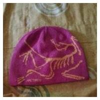 ราคา หมวกบีนนี่ Arcteryx ดั้งเดิม สินค้าดี (1731597485675284007)