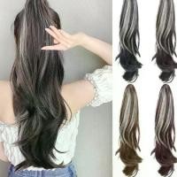 ราคา วิกผมต่อผม, ต่อผมมนุษย์, ล้างทำความสะอาดได้, หยักศกยาว, ต่อผมหางม้า, กิ๊บติดผม, วิกผมไฮไลท์, กิ๊บติดผมทนความร้อน, สำหรับผู้หญิง (1731472460321884156)