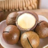 ราคา พร้อมส่ง-COD แมคคาเดเมียอบ 500กรัม (Macadamia) พร้อมทาน *ฟรีที่แกะ*แมคคาเดเมียอบ แมคคาเดเมียอบธรรมชาติ ถั่วแมคคาเดเมีย ถั่ว (1729967087446690162)