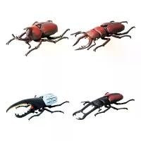 ราคา จำลองด้วงของเล่น, ของแท้, ถั่ว 2 แคปซูล, ดาบยาว, หอกใหญ่, ตุ๊กตาด้วง, รุ่นอนุภรณ์ โมเดล มด (1732316753464493947)