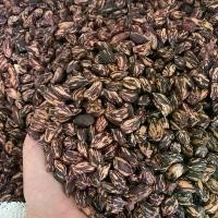 ราคา เมล็ดถั่วลายเสือดำดิบ! (กะเทาะเปลือกแล้ว)เมล็ดพันธุ์ถั่วลายเสือดำ ของแท้100%(สำหรับนำไปคั่ว/ต้ม หรือนำไปเป็นเมล็ดพันธุ์ได้เลย) สินค้า OTOP อันดับ 1 จากจังหวัดแม่ฮ่องสอน ถั่ว สลิงลายเสือ ถัว ดิน (17316