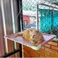 ราคา เปลแมวแบบแขวน เปลแมว เปลสัตว์เลี้ยง ที่นอนสัตว์เลี้ยง (1730152448643270776)