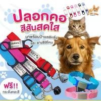 ราคา ป้ายชื่อสัตว์เลี้ยง+ปลอกคอ ป้ายน้องหมาแมว กระดิ่งคละสี สแตนเลส (ป้ายชื่อยาง+ปลอกคอ) (1732217392836937264)