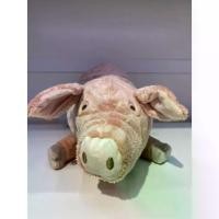 ราคา ของเล่นน่า COD. ตุ๊กตาผ้า IKEA รุ่น KNORRIG ตุ๊กตา ตุ๊กตาผ้าเด็ก หมู/สีชมพูของแท้ 100%(Tiktok) (1732544175029323415)