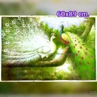 ราคา 【คนไทยแนะนำ!】 โปสเตอร์(ไม่ใช่สติ๊กเกอร์) รูปภาพนกยูงคู่ดอกโบตั๋น ขนาด 60x89 เซนติเมตร (1732650934231205536)