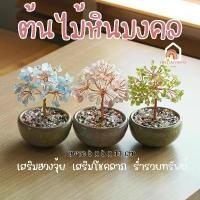 ราคา ต้นไม้ หินมงคล เสริม ฮวงจุ้ย โชคลาภ ร่ำรวย ความสูง 11 CM ของมงคล ของขวัญ ต้นไม้มงคล อเมทิสต์ โรสควอตซ์ ต้นไม้ปลอม (1732628113748297068)