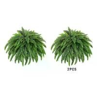 ราคา บอสตัน เฟิร์น ประดิษฐ์ จำลอง ต้นไม้ ประดิษฐ์ เหมาะสำหรับลาน สำนักงาน และวันเกิด (1731834365389014233)