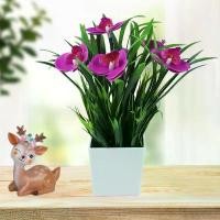 ราคา กระถางกล้วยไม้ผีเสื้อประดิษฐ์, ดอกไม้ปลอม, ตกแต่งบ้าน, พืชกระถาง ต้นโสน camellia flowers บอนไซ มะขาม แคระ ต้น ยม หิน ต้นโสน ต้น เดซี่ ต้น พลับพลึงสี ชมพู พาน คู่ ต้นไม้ ไหว้ครู (1731613431056926236)