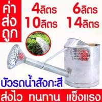 ราคา [จัดส่งทันที] *ค่าส่งถูก* บัวรดน้ำ 4 6 10 14ลิตร บัวรดน้ำสังกะสี บัวสังกะสี ฝักบัวรดน้ำ รดน้ำ บัวรดน้ำเหล็ก บัวเหล็ก ฝักบัวรดน้ำสังกะสี ต้นไม้ สวน ส่งไว (1732430966357329850)