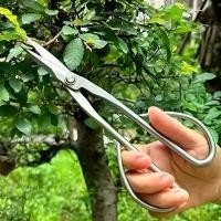 ราคา กรรไกรตัดแต่งสวน วัสดุสแตนเลส ดีไซน์ตามหลักสรีรศาสตร์ ใช้ได้ทั้งมือ ใบมีดคมสำหรับทำสวน ตัดแต่งต้นไม้ ต้นไม้ และบอนไซ โครงสร้างเหล็กทนทาน สไตล์ร่วมสมัย ใบมีดคม (1732238342812436254)