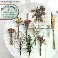 ราคา Mini Bouquet-Assorted ช่อดอกไม้ ใบไม้ ธัญพืชแห้ง | อบ แห้ง ธัญพืช ต้นไม้ ดอกไม้ ใบไม้ ไม้เลื้อย ไม้ประดับกิ่ง (1732298624323913125)