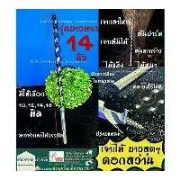 ราคา ดอกสว่าน เจาะไม้ยาว 14นิ้ว 350mm ดอกสว่านเจาะไม้ยาว เจาะเสา/ต้นไม้/ไม้หนา/ต้นปาร์ม ดอกสว่านไฟฟ้า เจาะไม้่ยาว (1730019421890972669)