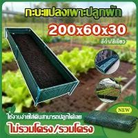 ราคา [จัดส่งทันที]แสนทนกะบะปลูกผัก พร้อมโครง 60x200x30cm（ดำ/เขียว） กะบะเพาะปลูก​ ถุงปลูก​ต้นไม้ แปลงผัก ใช้​ป​ลูกผัก กระบะเพาะปลูก แปลงปลูกผัก แปลงผักเพาะปลูก กระบะปลูกผัก มีโครงและไม (1732465780070056976)