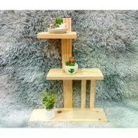 ราคา ชั้นวางของ ต้นไม้ โมเดล 3ชั้น ทำจากไม้สน ลดราคาร้อนแรงประจำเดือนนี้ (1732550769803494807)