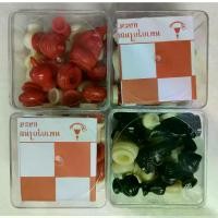 ราคา [TK] PPKK ชุดหมากรุกไทย พร้อมกระดานหมากรุกไทย (กระดาษ) ขนาดมาตราฐาน Thai Chess ตัวหมากรุกไทยอย่างดี พลาสติกเงามัน ผิวเรียบลื่น (1731701267356550227)