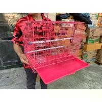 ราคา (BP pets) กรงนก ชูการ์ กระรอก สัตว์เลี้ยง กรง 4834 และ J-01 กรงนก กรงสัตว์เลี้ยง (1732465266734958301)