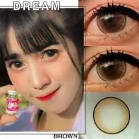 ราคา Wink Lens Dream Brown บิ๊กอาย สีน้ำตาล น้ำตาล ขอบบาง คอนแทคเลนส์ Contact Lens ค่าสายตา สายตาปกติ แฟชั่น สายตาสั้น (1729574215161121067)