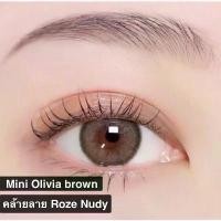 ราคา Kitty Kawaii คอนแทคเลนส์ Mini Olivia Brown / Light Brown / Gray ขนาดมินิ ลายฮิต ขายดีมาก รุ่น Mini Dawn 14.2 คล้ายลาย Roze Nudy (1732299173904811452)