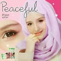 ราคา PrettyDoll Contactlens คอนแทคเลนส์ รุ่น Peaceful สี Brown และ Gray สายตาปกติ เลนส์นิ่มใส่สบายตา พร้อมตลับ (1729646206442703418)