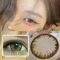 ราคา Prettydoll Contactlens คอนแทคเลนส์ รุ่น Chimmer สี Brown และ สี Gray เลนส์ตาโตตาหวาน รุ่นเกล็ดหิมะ เกล็ดน้ำแข็ง มีค่าสายตาถึง -1000 พร้อมตลับ เลนส์นิ่มใส่สบายตา (1729609542472141370)