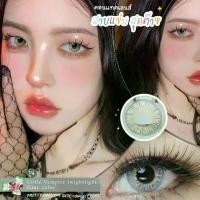 ราคา PrettyDoll Contactlens คอนแทคเลนส์ รุ่น Little Vampire Twilight สี Brown & Gray สายตา 0.00 - 6.00 เลนส์นิ่มใส่สบายตา (1729637338374769210)