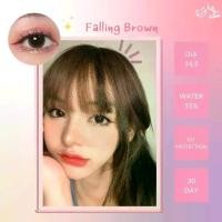 ราคา คอนแทคเลนส์ สีเทาและตาล Gray/Brown มีค่าสายตาปกติ (0.00) เปลี่ยนแทนทุกเดือน (1729592552222198183)