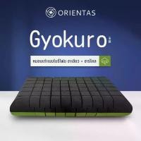 ราคา Orientas ซีรีส์ Uji หมอนเมมโมรี่โฟม ชาเขียว รุ่น Gyokuro Pillow หมอนสุขภาพ มีกลิ่นหอมชาเกียวคุโระ ช่วยผ่อนคลาย ช่วยให้หลับง่าย หลับสนิท หลับลึก ลดการนอนกรน หมอนช่วยลดการปวดคอ ลดความเมื่อยล้า เพิ่มประส
