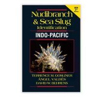 ราคา DKTODAY หนังสือ NUDIBRANCH AND SEA SLUG IDENTIFICATION (2ED) (1731646527449761204)