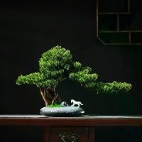 ราคา จำลองปาล์มประดิษฐ์, สวนต้นสนขอบคุณ, เหมาะสำหรับสำนักงาน, ห้องน้ำชา, Arhat Pine, ต้นไม้ปลอม, เครื่องประดับกระถางขนาดเล็ก, [COD] (1731175050874293227)