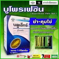 ราคา narcisshop ใช้งานได้ ขายยกลัง บลูเอ็กซ์-บูโพรเฟซิน 25% ( ผง WP ) ยาคุมไข่ เพลี้ยอ่อน สารป้องกันและกำจัดแมลง ขนาด 1 กิโลกรัม * 20 กล่อง น้ําหวานกําจัดมด ยาหยอด มด สเปรย์ (1730338610395843578)