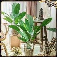 ราคา พืชประดิษฐ์, 60CM-90CM, ไม่มีกระถางดอกไม้, ต้นไม้ประดิษฐ์, ใบปลอม, กระถางต้นไม้ในร่ม, อุปกรณ์ตกแต่ง (1732148204755716664)