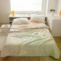 ราคา ผ้านวมเครื่องปรับอากาศผ้าฝ้ายลูกไม้ลายดอกไม้ขนาดเล็กสไตล์เกาหลีผ้าคอตตอนแท้ซักเครื่องได้นุ่มและเป็นมิตรกับผิว (1730811017444427960)