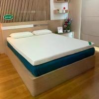 ราคา ท็อปเปอร์ Ventry Topper Nuw หนา 3 นิ้ว นอนได้สองด้าน ปลอกมีซิป (1731240074253338287)