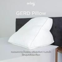 ราคา mr.big GERD Pillow หมอนสำหรับผู้ป่วยกรดไหลย้อน ปรับระดับได้ พร้อมปลอกถอดซักได้ (1729781159030851882)