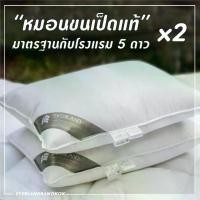 ราคา แพ็คคู่สุดคุ้มม Everland หมอนขนเป็ดแท้มาตรฐานโรงแรม 5-6 ดาว (1729434435573483718)