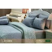 ราคา Sitthichai Srichan ขายดีประจำเดือนนี้ Jessica 100% Cotton ผ้านวม ห่มคนเดียว 60"x80" Silk Shine กันไรฝุ่น ทอ360เส้น เรียบหรู พลิ้วเงา (1732306594019969668)