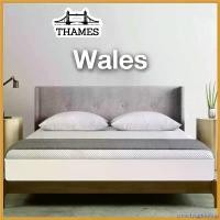 ราคา cmoefyqghbshop Thames ส่งฟรี! ที่นอนHybrid สปริงเสริมยางพารา 10นิ้ว รุ่น Wales นอนได้สองฝั่ง แก้ปวดหลัง ขายดีประจำเดือนนี้ ท๊อปเปอร์ 5 ฟุต ครบเซ็ต หนา ๆ เกรดเอ ผ้า คลุม กันหนาว (1730701772966693009)