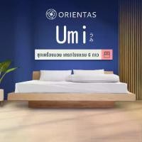 ราคา Orientas รุ่น Umi ชุดเซ็ทผ้าปูที่นอน โรงแรมหกดาวและรีสอร์ท เนื้อผ้าหนา เย็น ลื่นสบาย ผ้าไม่ติดตัว กันไรฝุ่น ผลิตจากผ้าคอตตอน 100% กันเปื้อน (1729566622074505369)