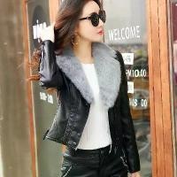 ราคา เสื้อโค้ทหนังหนากำมะหยี่สั้นสำหรับผู้หญิง ปลอกคอขนกระต่ายแท้ ปกขนาดใหญ่ สลิมฟิตใหม่ สลิมฟิต สลิมมิ่ง ฤดูหนาว Outfits Clothing แจ็กเก็ต Women (1729860962756298787)