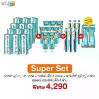 ราคา Super Set Wonder Smile Family Care [ยาสีฟันผู้ใหญ่ 13 + ยาสีฟันเด็ก 9 หลอด] (1730855881993849106)