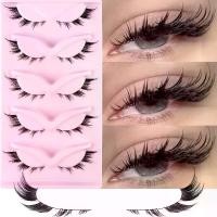 ราคา ชุดขนตาปลอม 5 คู่ ขนตาแมวและตาแมว ดูเป็นธรรมชาติ ขนตายาวและม้วนงอ ต่อขนตา ขนตามิงค์เทียม ของขวัญสำหรับผู้หญิง เหมาะสำหรับของขวัญคริสต์มาส (1731265712005678977)