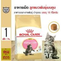 ราคา bctyrlSHOP51 ความคงทน Royal Canin Kitten Maine Coon 10 Kg. อาหารแมว บำรุงขน สูตรลูกแมวเฉพาะสายพันธุ์ เมนคูน (10 กิโลกรัม/กระสอบ) (1731750152183319036)