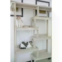 ราคา dtruecidtrue36 ใช้งานได้ ProSpace คอนโดแมว บ้านแมว เทรนเนอร์ไม้เมลามีนกันรอยกันน้ำ (ส่งฟรี) (1730839292322678934)