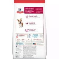 ราคา Hill's อาหารสุนัข ฮิลส์ สูตร Science Diet สำห สุนัขโต Adult Small Bites เม็ดเล็ก 1-6 ปี 12kg (1731341974381365015)