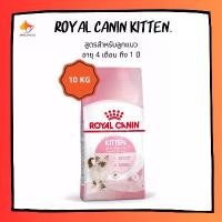 ราคา decadeShop98 ปัจจุบัน Royal Canin Kitten Food 10 kg โรยัล คานิน อาหารลูกแมวแบบเม็ด อายุ 4 - 12 เดือน 10 กก (1731164848287222316)